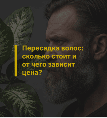 Пересадка волос: сколько стоит и от чего зависит цена?